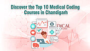 Discover the Top 10 Medical Coding Courses in Chandigarh