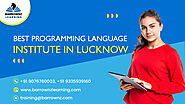 The Top Programming Languages in Lucknow