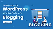 Top Reasons Why WordPress Is The Best Platform For Blogging Websites?