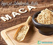Types of Adaptogenic Herbs PART TWO – MACA