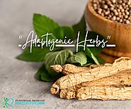 Adaptogenic Herbs