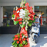 Hoa khai trương Flower Corner - Flower Corner - Shop hoa tươi ở TP HCM