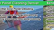 Maximize Your Energy Efficiency with Professional Solar Panel Cleaning