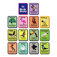 Mini Leaves Birds Flash Knowledge Cards (3-5 Years)