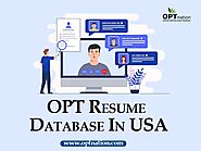OPT Resume Database in USA