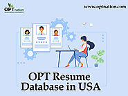 OPT Resumes Database In USA | OPT Nation