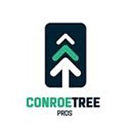 Tree Removal in Conroe, TX