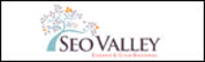 SEO Valley Solutions