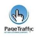 Page Traffic