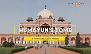 Humayun's Tomb: Historic Architecture, Timings & Ticket Price | Trip Guru Go