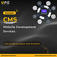 Best Dynamic CMS Website Development Services - Web Panel Solutions