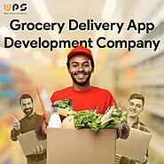 Grocery Delivery App Development Company – Web Panel Solutions