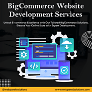 Outsource BigCommerce Website Development Services – Web Panel Solutions