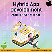 Professional Hybrid App Development Service – Web Panel Solutions