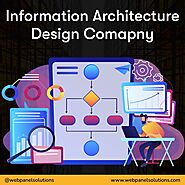 Online Information Architecture Design Company – Web Panel Solutions