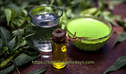 How to Use Neem Oil for Hair Growth? Unlock the Secrets | Best Review Todays