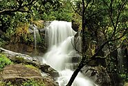 Eco Nature Resorts Wayanad, Kerala | Family Vacations - Banasura Resort