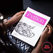 BUSINESS BENEFITS OF CHOOSING PYTHON - ThingsCouplesDo