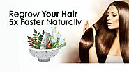 How to Stop Hair Loss and Regrow Hair Naturally [2023 Expert Advice]