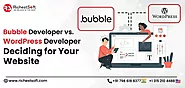 Bubble Developer vs. WordPress Developer: Deciding for Your Website