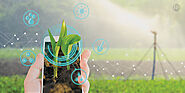 The Growing Market of IoT in the Agriculture Sector