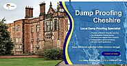 Top Cheshire Damp Proofing Services: Protect Your Home Now