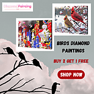 Explore Our Exquisite Bird Diamond Paintings!