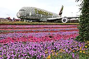 Dubai Miracle Garden