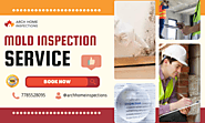 The Value of Engaging Expert Mold Inspection Services – ARCH HOME INSPECTIONS