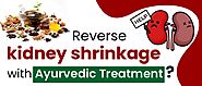Ayurvedic Treatment For Kidney Shrinkage
