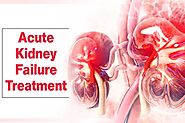 Find the best Acute Kidney Failure treatment in Ayurveda