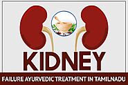 Kidney Failure Treatment In Ayurveda In Tamil