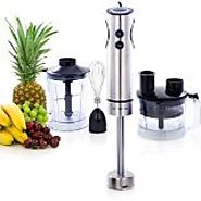 Top Rated 4 in 1 Heavy Duty Hand Blenders