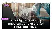 Why Digital Marketing is Important and Useful for Small Businesses?