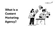 What Is a Content Marketing Agency? | Wise Idiot Intellect Pvt Ltd
