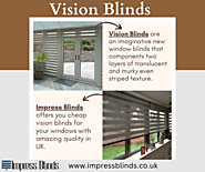 Window Vision Blinds