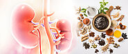 Ayurvedic Treatment for Kidney Swelling
