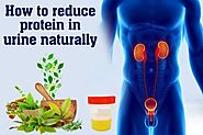 How To Reduce Protein in Urine Naturally