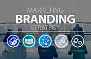 Exploring The Power of Branding: Different Types You Should Know