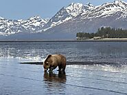 Planning Your Alaska Adventure: A Comprehensive Travel Guide