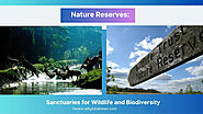 Nature Reserves: Sanctuaries for Wildlife and Biodiversity