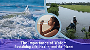 The Importance of Water: Sustaining Life, Health, and the Planet
