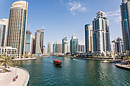 Unlocking Business Potential: Exploring the UAE Free Zones