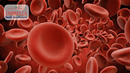 9 Easy Preventions For Low Hemoglobin9 Easy Preventions For Low Hemoglobin Count Count
