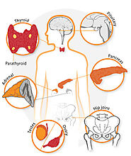 Holistic Endocrinology - Philadelphia Holistic Clinic - Dr. Victor Tsan