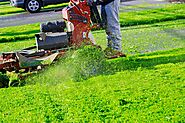 Basic Lawn Maintenance Tips | Lawngevity Landscaping
