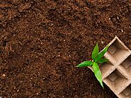 How to Choose the Best Garden Soil | Lawngevity Landscaping
