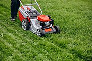 Why is Regular Mowing of Lawns Important? | Lawngevity Landscaping