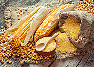 Maize Gluten at Bluecraft Agro in India