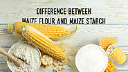 Difference Between Maize Flour & Maize Starch - Bluecraft Agro